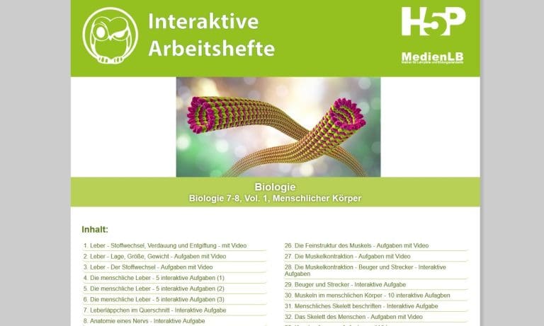 Jetzt neu: Interaktive Übungen in Mebis – Perfekt für die Schule zu Hause