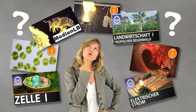 Frau überlegt welches Medium das Beste ist