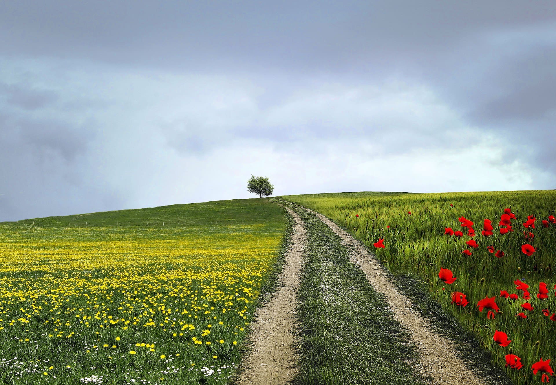 Persönliche Entwicklung und Gesundheit, Foto: Pixabay